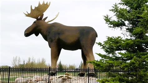 environment canada moose jaw.